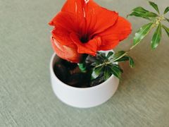 -夏宫中餐厅(静安香格里拉店)