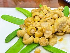 -伊帆食府·青海地方特色美食