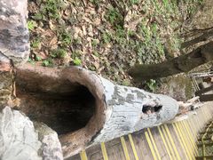 -老界岭旅游度假区