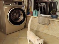 -安安宠医·安烨宠物医院·宠物保险(北仑分院)