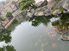 -中国唐苑