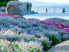 -悦海公园