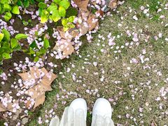 -徐家汇源景区-衡山公园