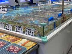 -小海丁