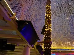 -CLUB VIVA(购物公园店)