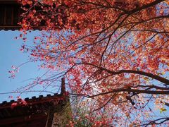-美味之家·湖景农家乐(太湖东山店)