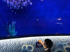 -沈阳海洋探索中心