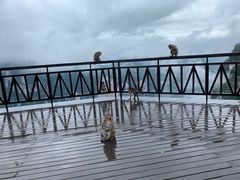 -重庆云阳龙缸景区
