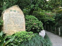 -十八棵（老龙井）御茶园(老龙井店)