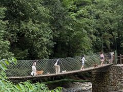 -西岭雪山大飞水景区