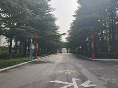 -莱西月湖公园