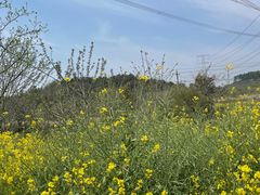 -深巷家味馆.湖北头牌红烧鱼头拌饭(黄陂店)