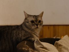 -隅cafe(傅厚岗店)