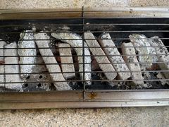 -吴淞炮台湾湿地森林公园烧烤区