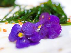 沙葱核桃-九十九顶毡房(阜石路店)