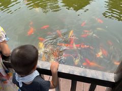 -枫香湖儿童公园