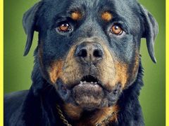 -万达影城(锦华万达广场IMAX店)