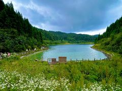 -武陵山森林公园