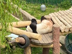 -沈阳森林动物园