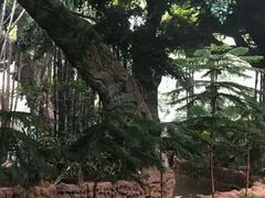 -龙达温泉生态城
