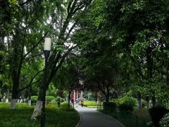 -沙市市中山公园