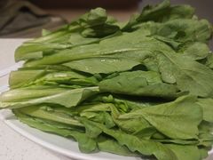-蝎王府羊蝎子(北大地店)