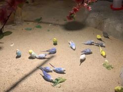 -酷嗒动物文化乐园(cutezoo西溪乐天城店)