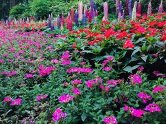 -西湖外事游船(花港观鱼码头)