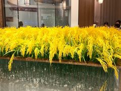 -天天鱼港·海鲜·鲅鱼水饺·招牌烤鸭(黄骅店)