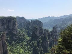 -唐师傅湘西名菜馆(武陵路店)
