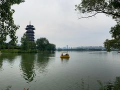 -洋湖国家湿地公园