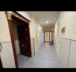 -安院长·产后恢复·徒手骨盆(先天下店)