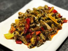 辣炒吸波螺-虾友记(麻辣小龙虾 烤鱼 烧烤)