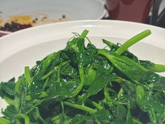 -许家菜(DT51店)