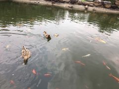 -广州神农草堂中医药博物馆