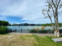 -上海长兴岛郊野公园