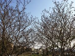 -南国桃园旅游度假区