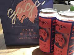 桃子乌龙-gaga(深圳福田星河COCO Park店)
