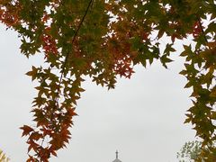 -永定河休闲森林公园