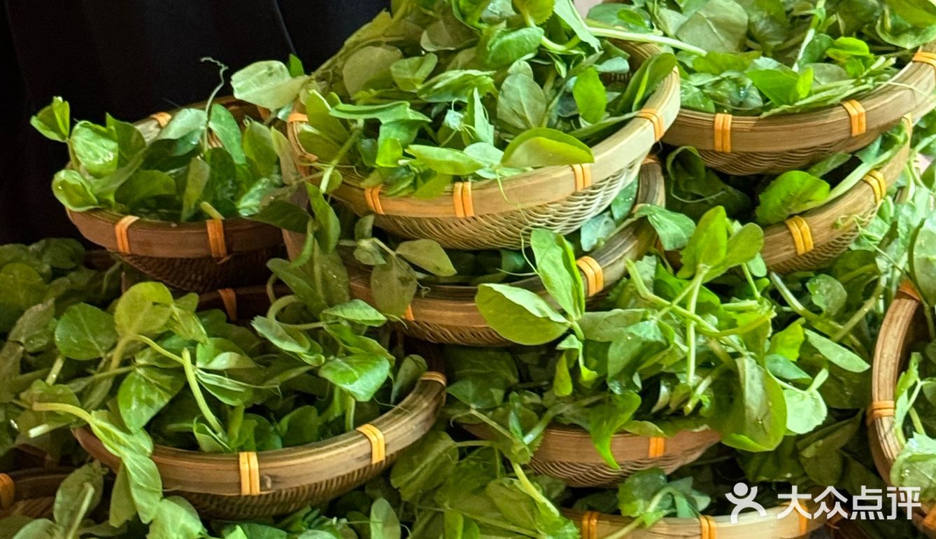 这放在全国都很炸裂……