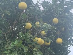 -仙海旅游度假区