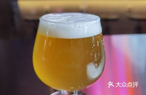 Whale City Fresh Brewed German Wheat Beer