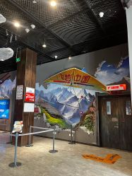 -飞览天下沉浸式飞行体验(北京旗舰店)