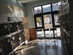 -美联众合宠物医院·爱萌分院·内外科·猫科中心