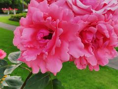 -无锡市市民中心