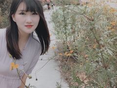 -大塘金香草谷