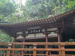 景点-鼎湖山风景区