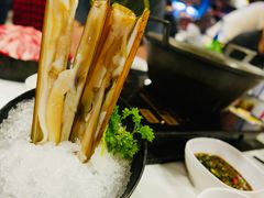 -鲜入围煮花胶鸡海鲜火锅