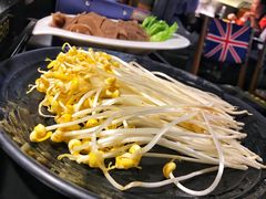重庆井水豆芽-锅说大脸毛肚重庆老火锅(佐阾店)