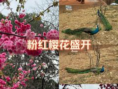 -昆明动物园